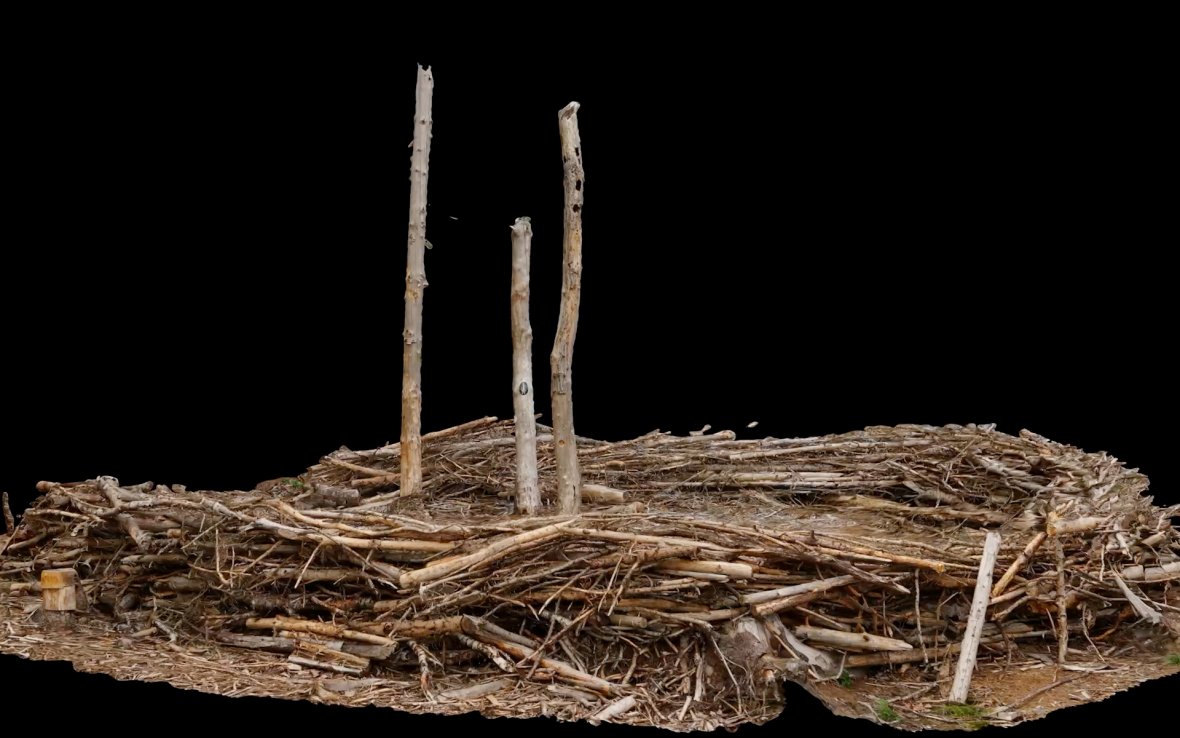 2022 ThreeTrees ThePlot stillcrop1 acrwrs 2