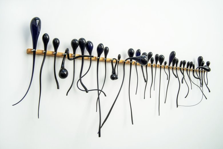 z.t. (bellenrekje zwart)