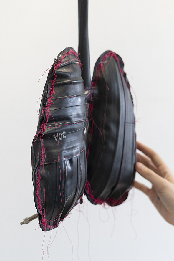 The lungs 'in the same breath'