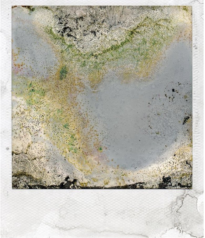 Bergheider See I (From the series Toxic)