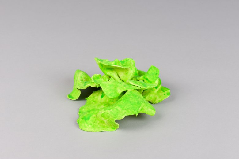 krop sla (maakt onderdeel uit van installatie)