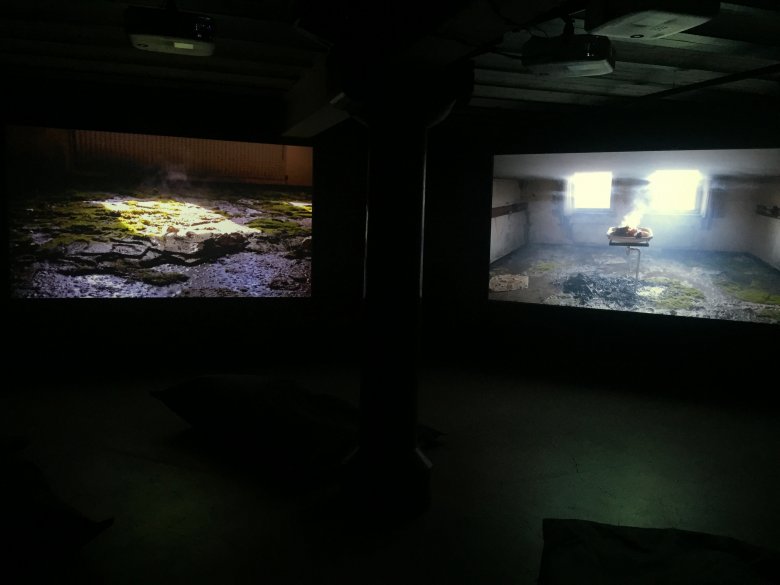 Sanctuary en Transmute24; collected footage